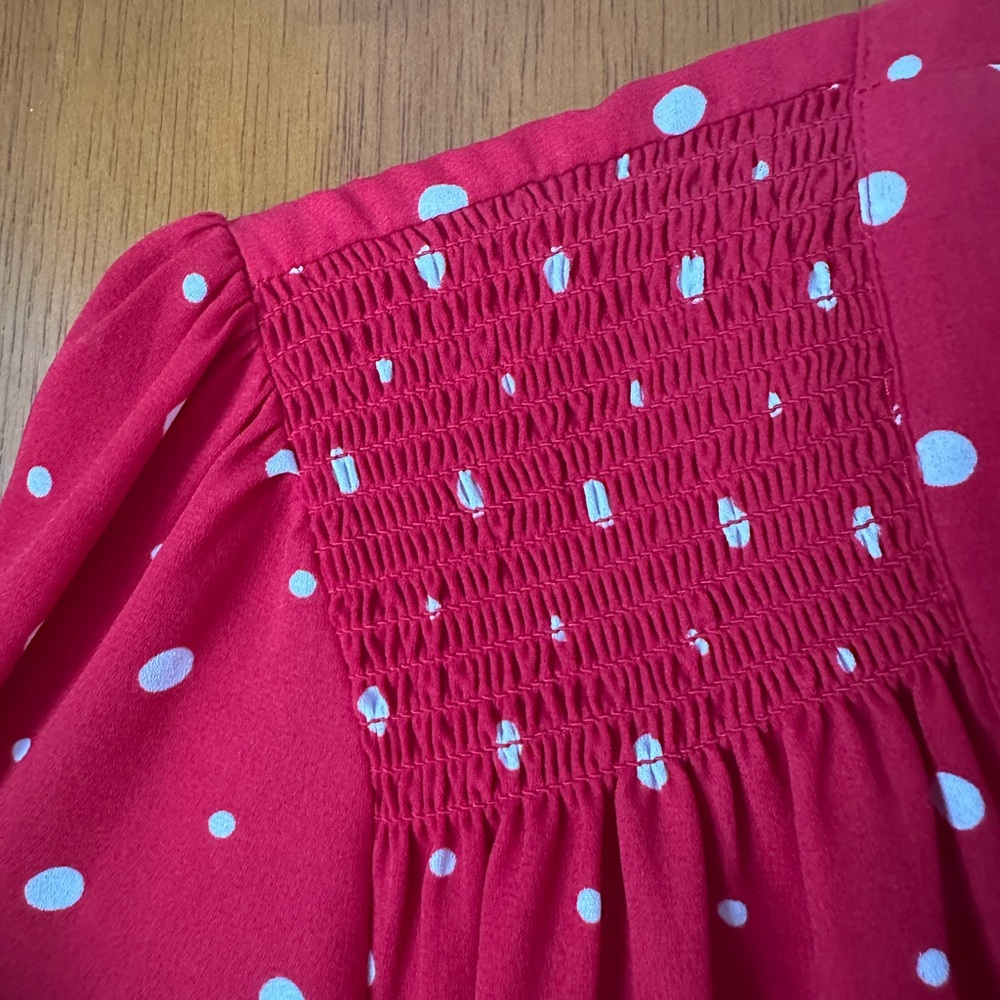 The Limited Scarlet Sheer Blouse with Ivory Polka Dots and Front Tie - Picture 5 of 8